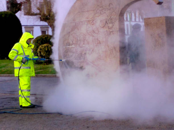 Best Pressure Washing Siding  in Essex Fells, NJ