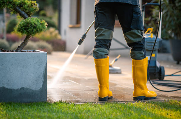 Best Roof Power Washing Services  in Essex Fells, NJ